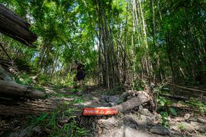 BIB: 
                            <button type="button" onclick="openModal(19393967)" class="btn btn-primary btn-sm float-right btn-popup" data-toggle="modal" data-target=".modal-high-quality">
                        <i class="fas fa-shopping-cart"></i> Add to Cart
                    </button>
                                            <button type="button" onclick="isThisMe(19393967, true)" class="btn btn-success btn-sm float-right btn-popup btn-isme hidden" data-toggle="tooltip" data-placement="bottom" title="นี่คือรูปของคุณใช่ไหม คลิกที่นี่เพื่อเอาเข้าอัลบั้ม">
                        <i class="fas fa-plus"></i> Add to album
                    </button>
                    <button type="button" onclick="isThisMe(19393967, false)" class="btn btn-warning btn-sm float-right btn-popup btn-isnotme hidden">
                        <i class="fas fa-ban"></i> Remove from album
                    </button>